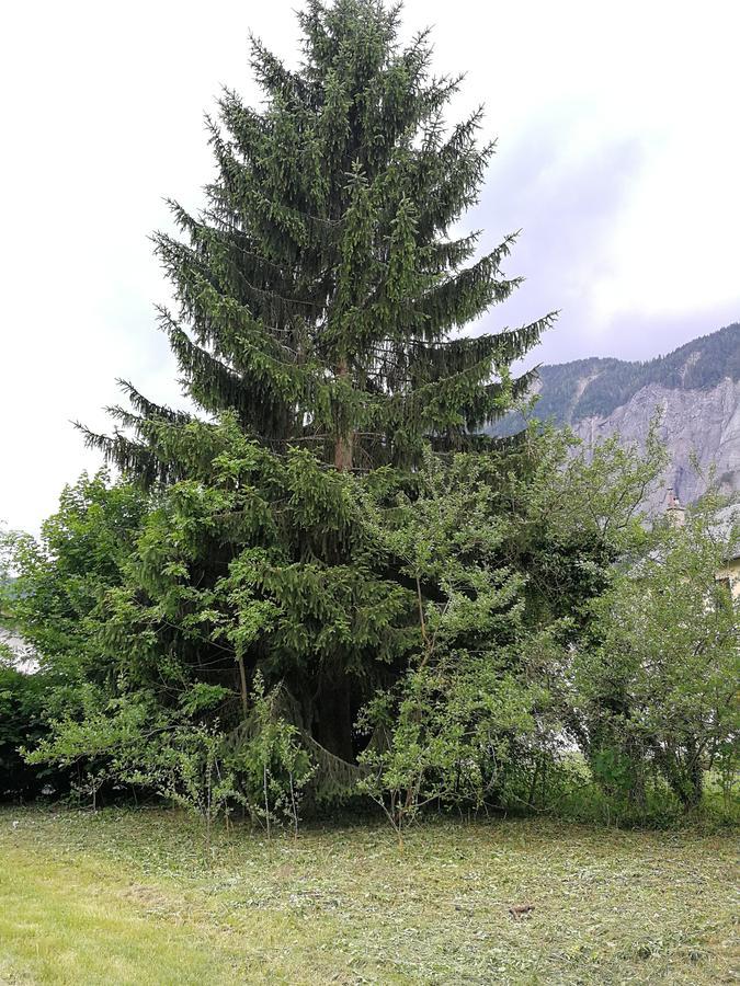 Sport'Hotel - Residence De Milan Le Bourg-dʼOisans Zewnętrze zdjęcie